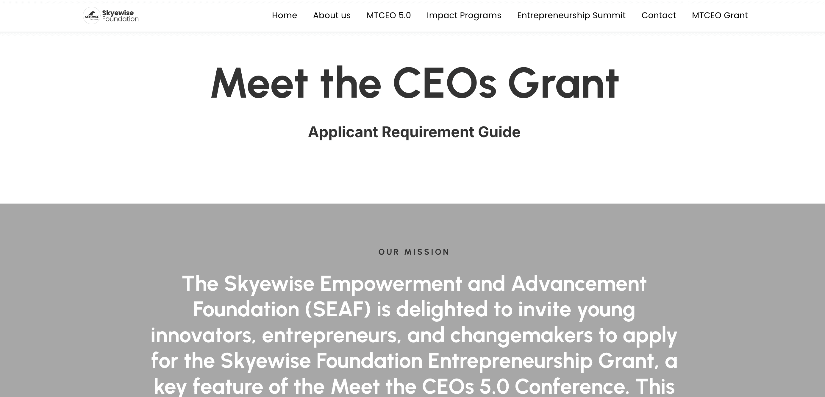 Skyewise Foundation Entrepreneurship Grant 2025